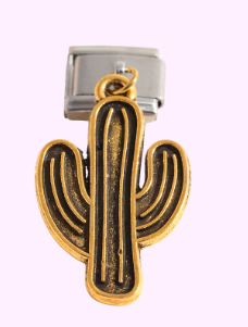 Cactus L